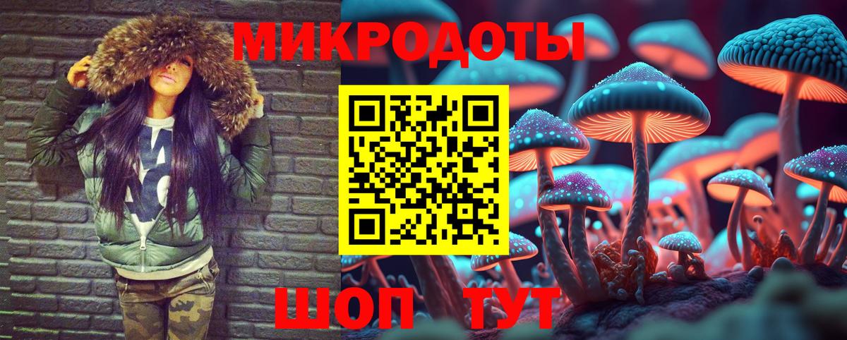 Галлюциногенные грибы мухоморы Ефремов